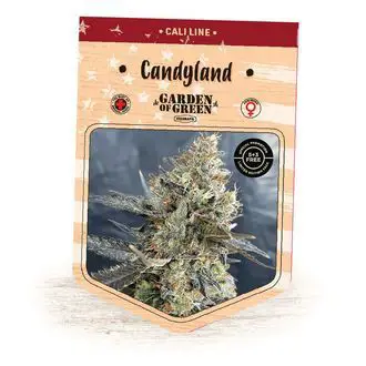 CandyLand