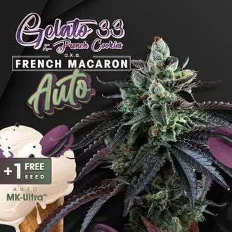 Auto French Macaron