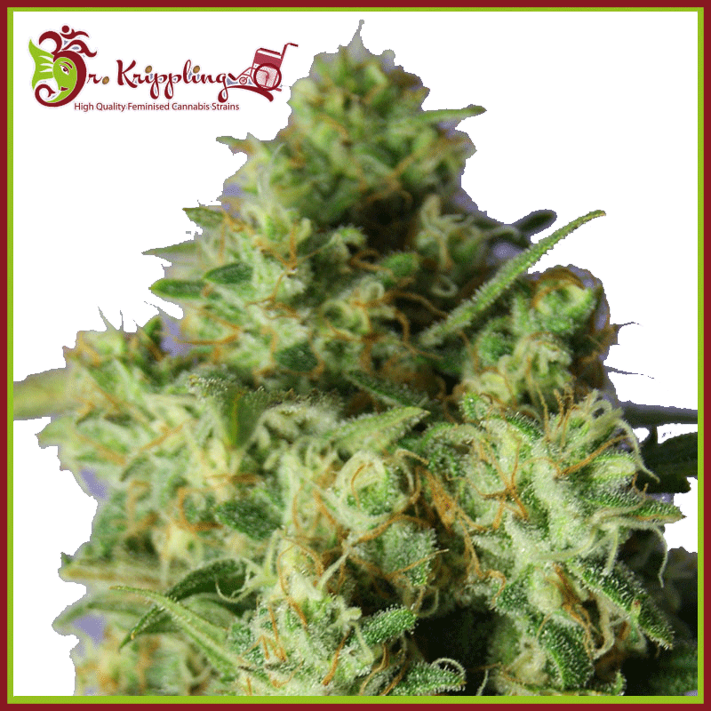 bulk-smash-auto-image