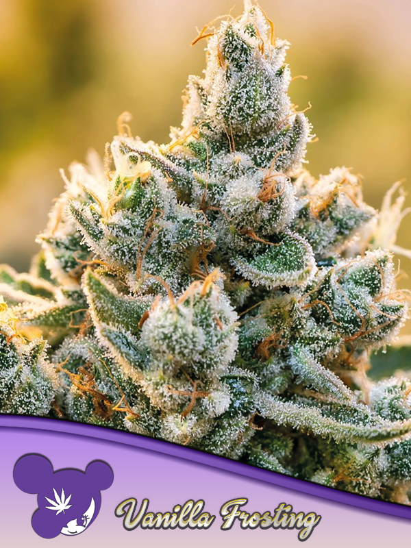 vanilla-frosting-image