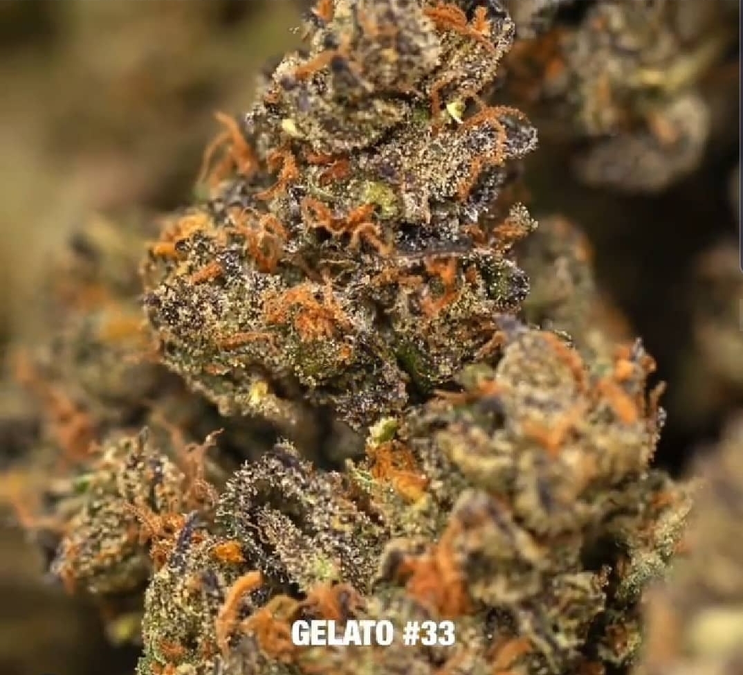gelato-33-image