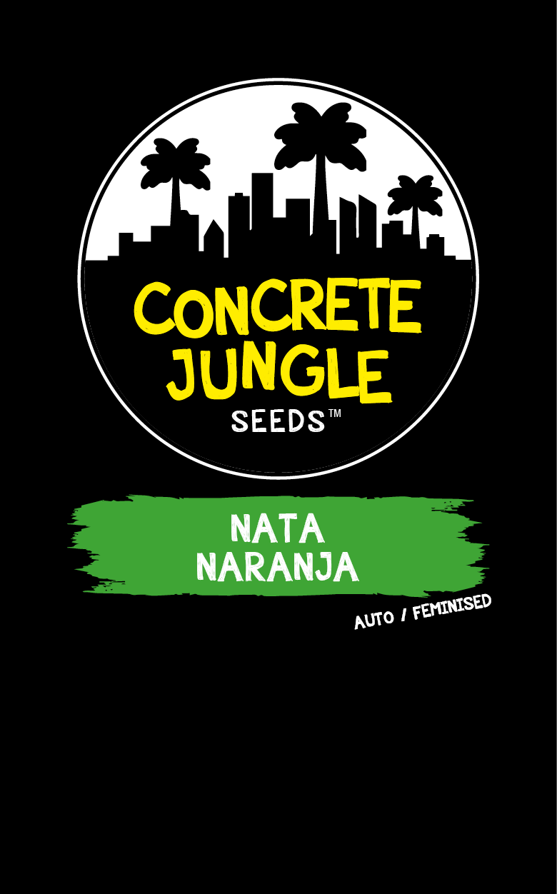 nata-naranja-auto-image