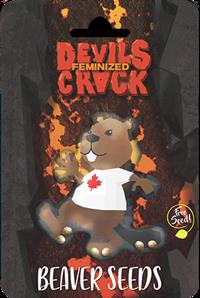 Devil's Crack