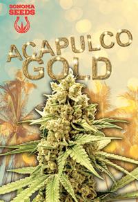 Acapulco Gold Sativa