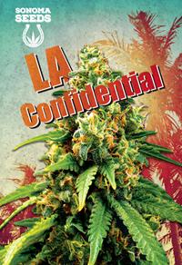 LA Confidential Indica