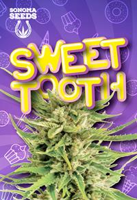 Sweet Tooth Indica