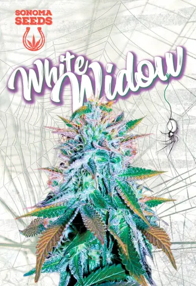 White Widow