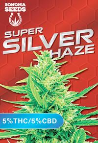 Super Silver Haze CBD