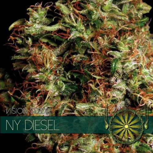 ny-diesel-image