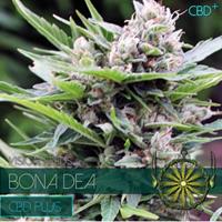Bona Dea - CDB+
