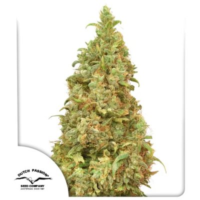 THC-Victory®
