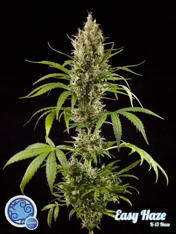 easy-haze--k13-haze-image