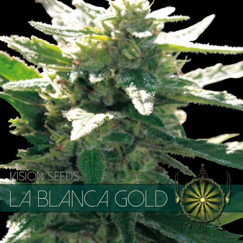 la-blanca-gold-image