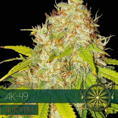 AK-49