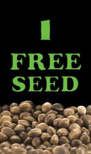 1 FREE SEED from QR Code