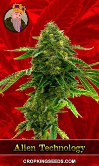 Alien Technology Feminized