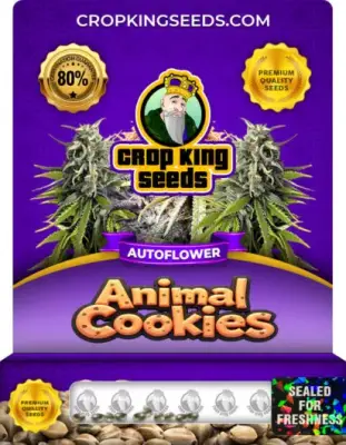 Animal Cookies Autoflowering