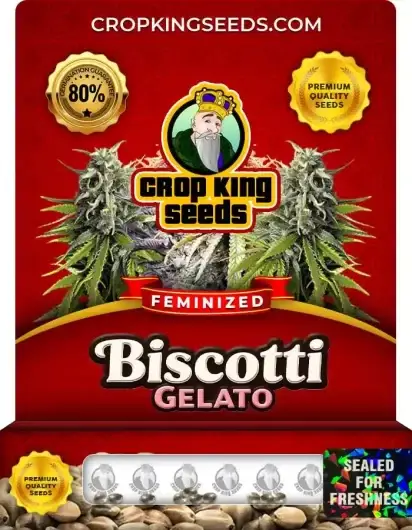 Biscotti Gelato – Crop King Seeds
