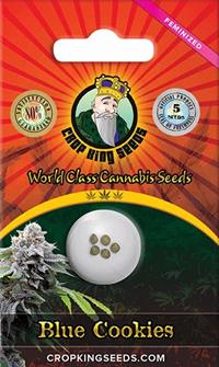 Blue Cookies Feminized