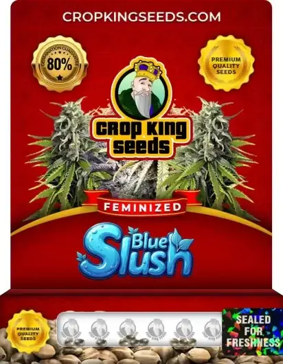 Blue Slush Feminized
