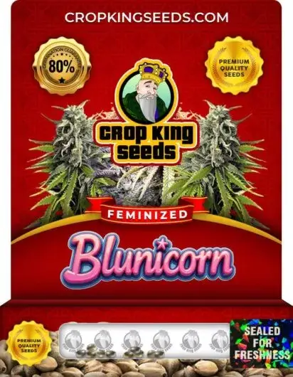 Blunicorn Feminized