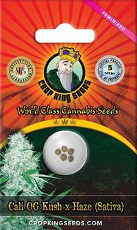 Cali OG Kush Haze Feminized