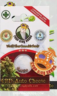 CB Cheese (1:1) Autoflowering