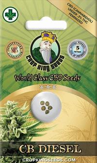 CB Diesel CBD Feminized