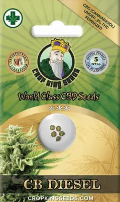 CB Diesel CBD Feminized