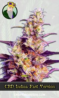 CBD Indica Fast Version