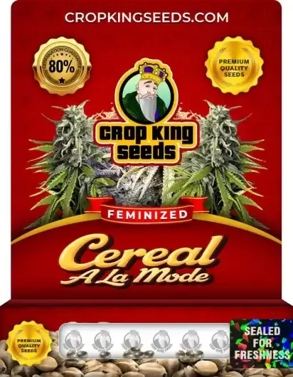 Cereal A La Mode Feminized