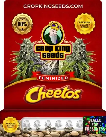 Cheetos Feminized