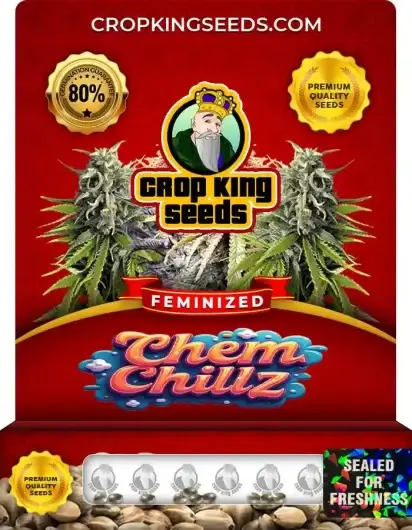 Chem Chillz Feminized