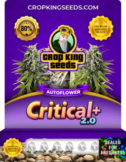 Critical + 2.0 Autoflower