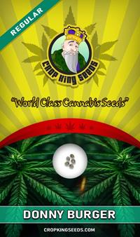 Donny Burger Regular