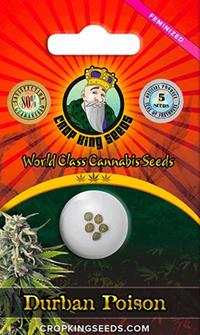 Durban Poison Feminized