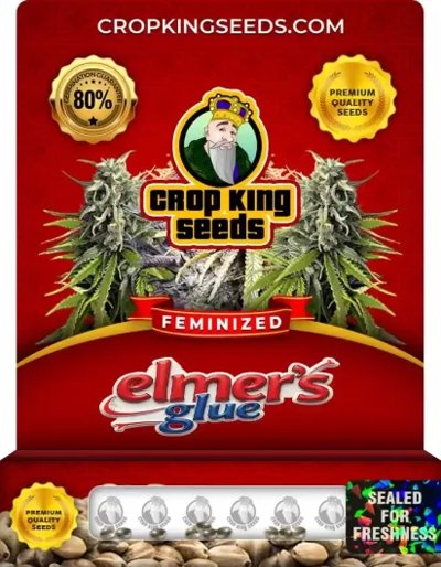 Elmer’s Glue Feminized