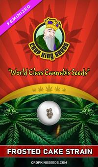 Frosted Cake Feminized