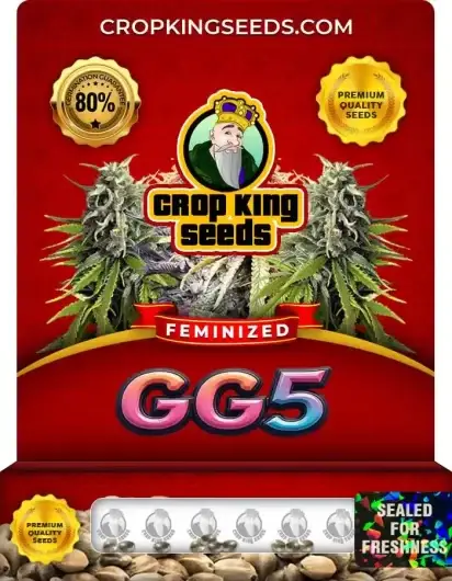 GG5 Feminized