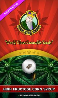 High Fructose Corn Syrup Feminized