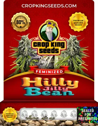 Hilly Jilly Bean Feminized