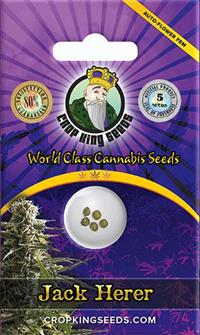 Jack Herer Autoflower