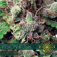 Vision Kush