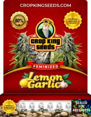 Lemon Garlic Feminized