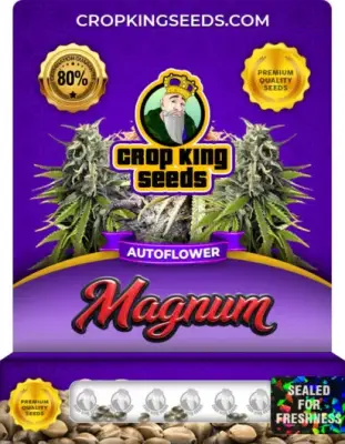 Magnum Autoflower