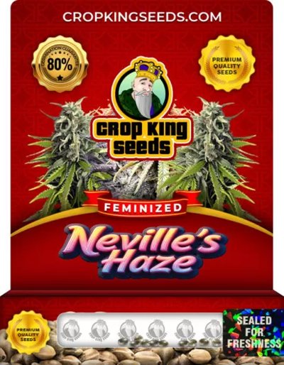 Neville’s Haze Feminized