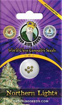 Northern Lights Autoflowering
