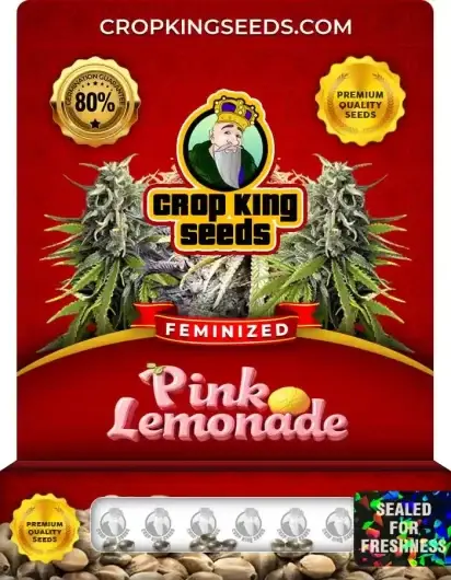 Pink Lemonade Feminized