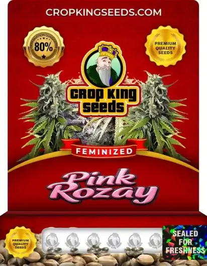 Pink Rozay Feminized