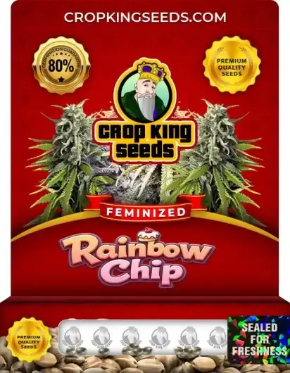 Rainbow Chip Feminized